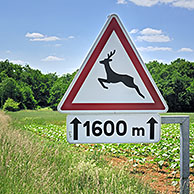 Warning sign / Traffic sign for crossing deer, La Brenne, France